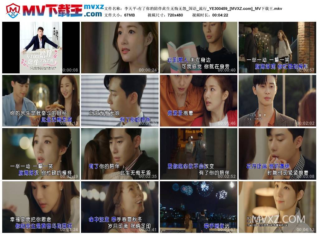 李天平-有了你的陪伴此生无悔无怨_国语_流行_YE300459